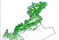 Analisi delle dinamiche spaziali dei popolamenti forestali della Regione del Veneto